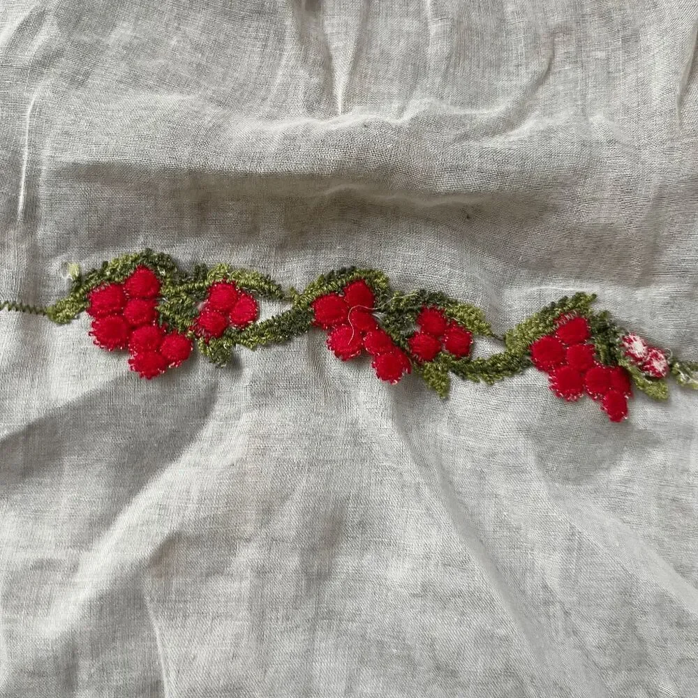 VTG 1950s Sheer Hostess Apron Embroidered Valentine Carmen Lee Cotton